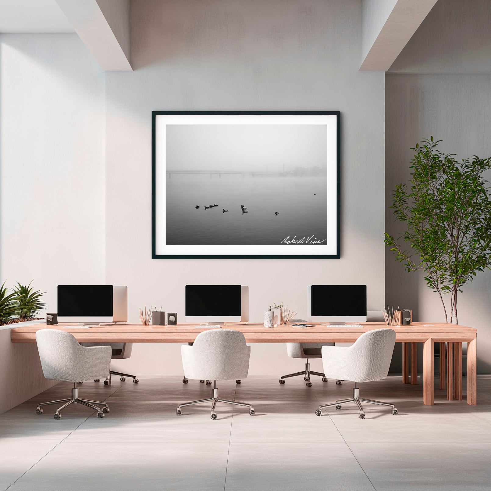 Fogbound Morning – Lake Burley Griffin, Canberra | Limited Edition Framed Print
