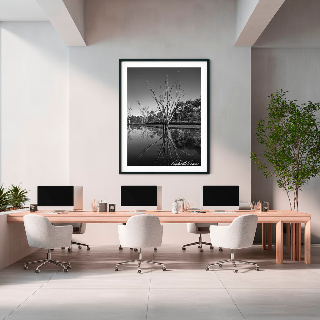 Reflections of Silence – Mulligans Flat Wetlands Limited Edition Framed Print
