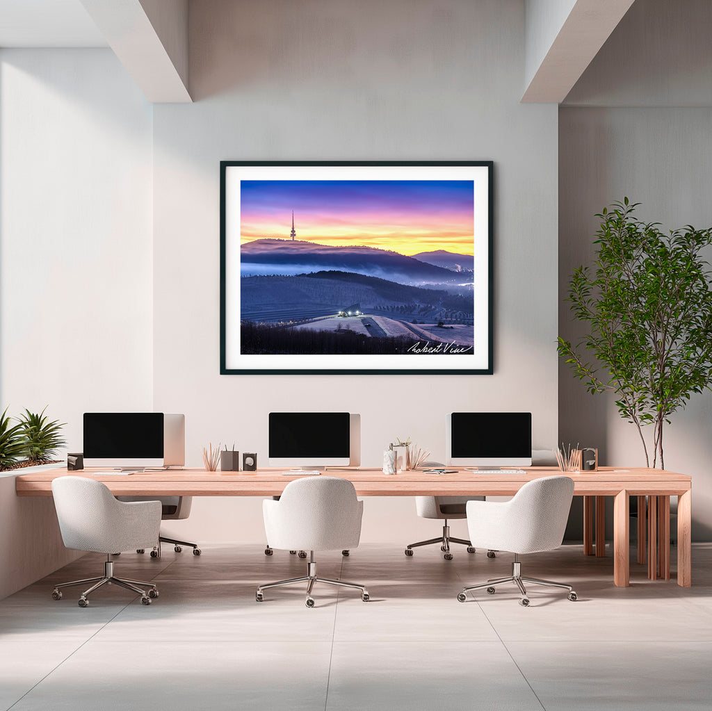 Winter Veil Over the Arboretum – Limited Edition Framed Print