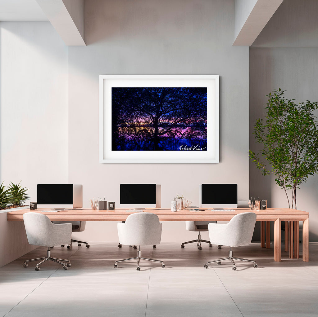 Twilight Mangrove, Lemon Tree Passage – Limited Edition Framed Print