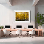 Golden Canopy | Limited Edition Framed Autumn Print of Queanbeyan
