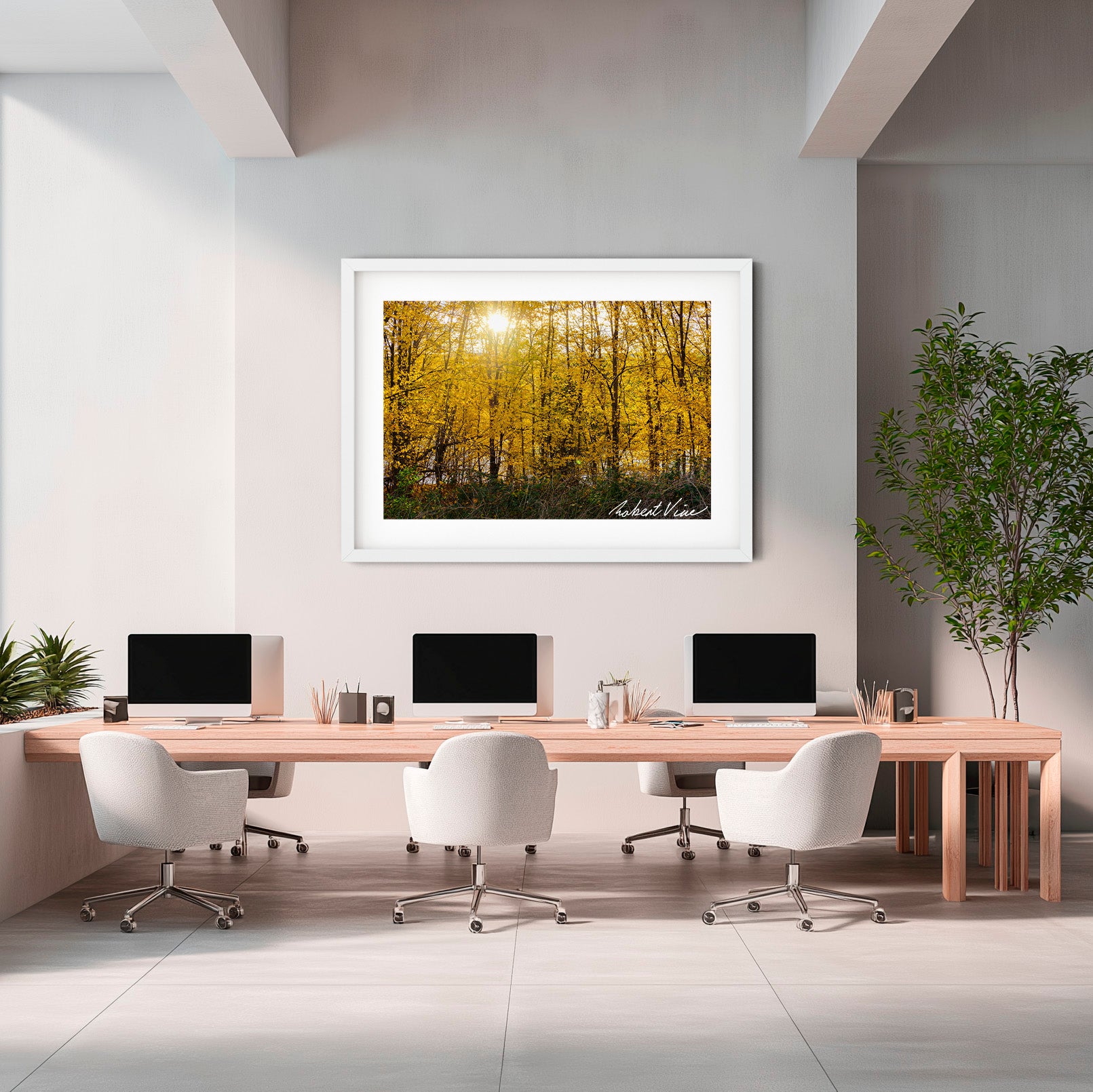 Golden Canopy | Limited Edition Framed Autumn Print of Queanbeyan