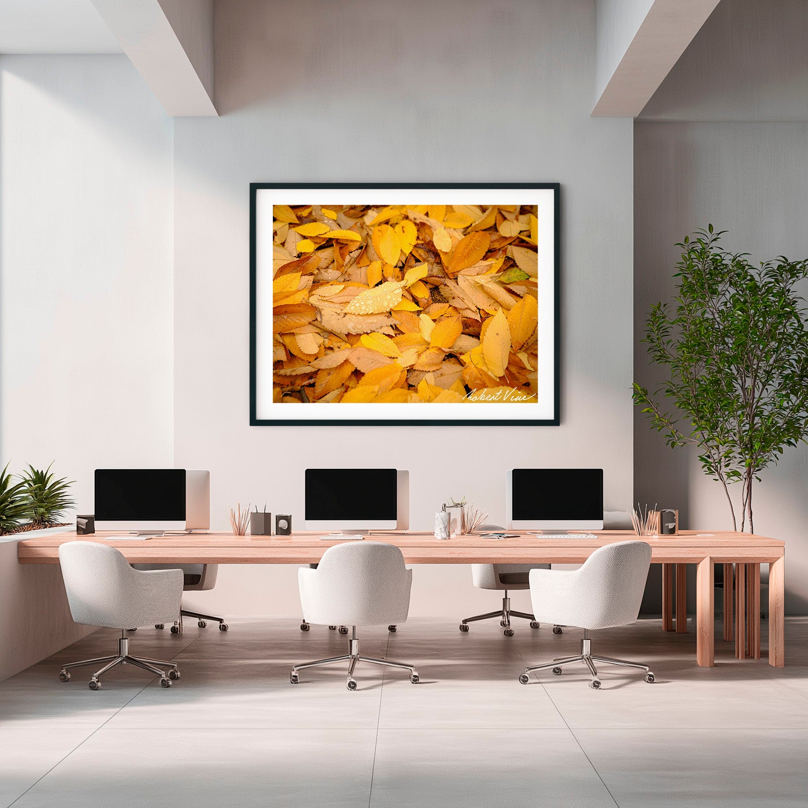 Autumn Tapestry | Limited Edition Framed Autumn Print of Queanbeyan