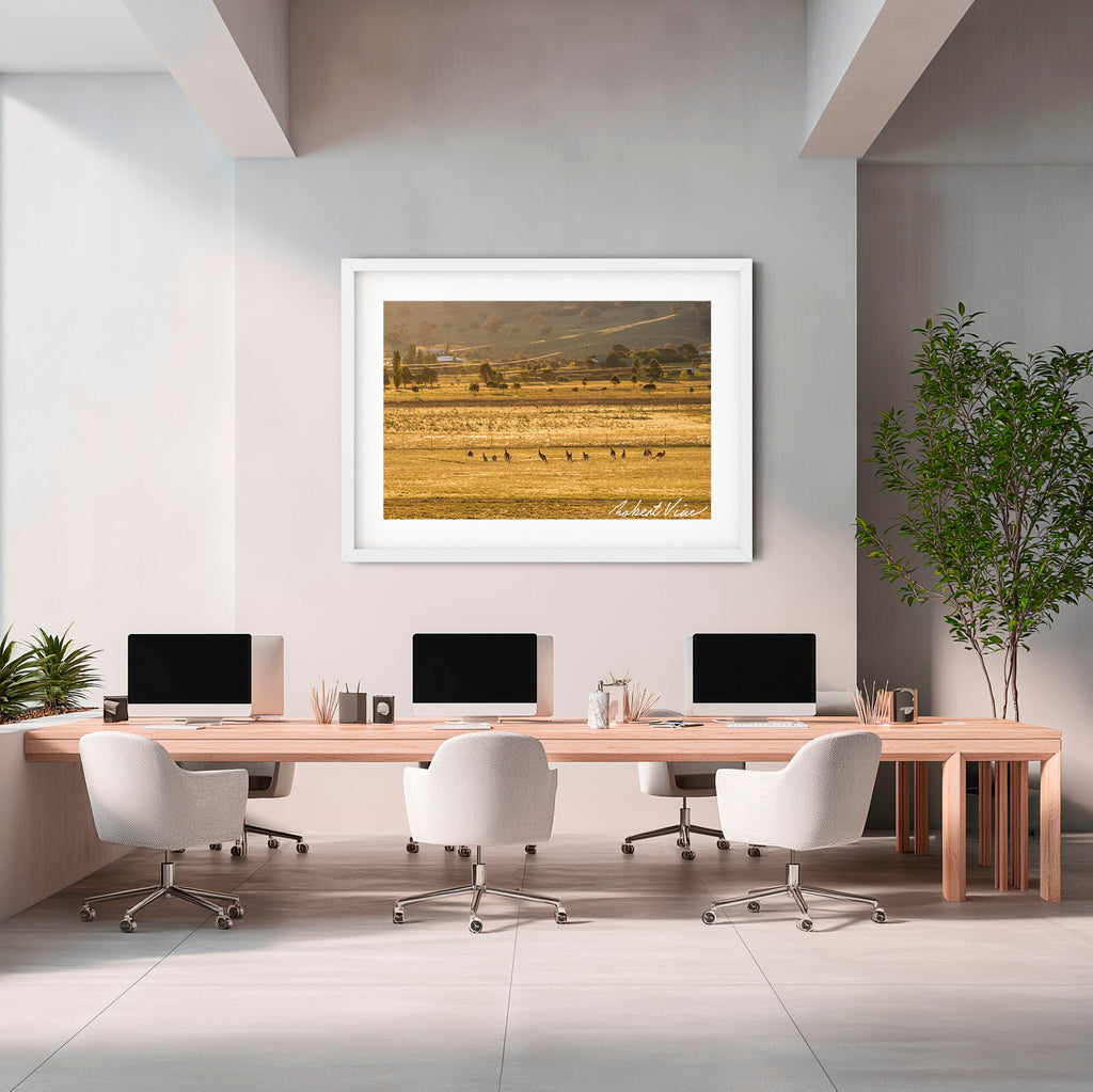 Golden Run — Googong at Sunset | Limited Edition Framed Art Print