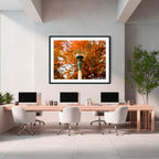 Autumn Lantern | Limited Edition Framed Print of Queanbeyan Park