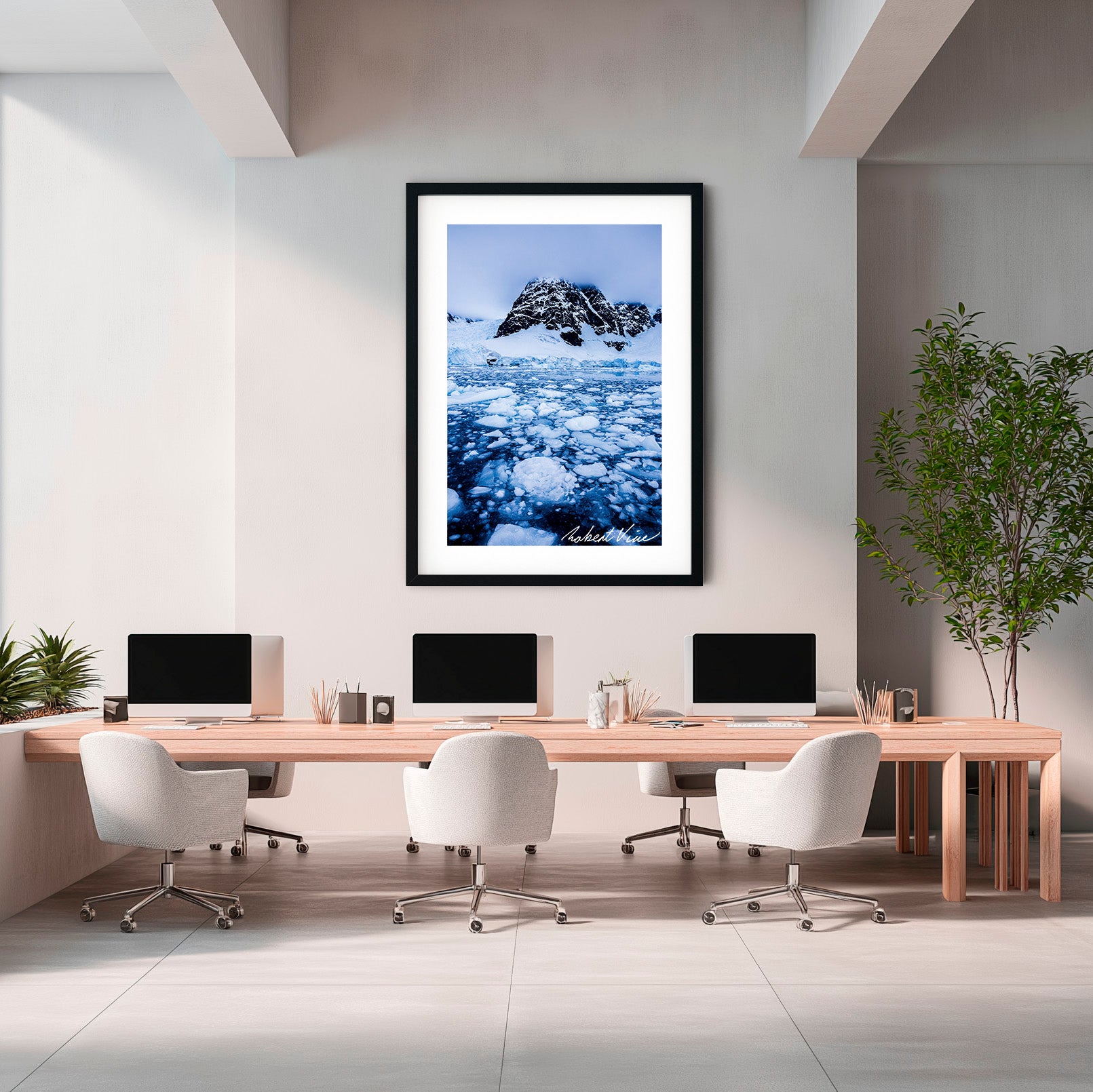 Paradise Bay Drift — Limited Edition Framed Print by Robert Vine