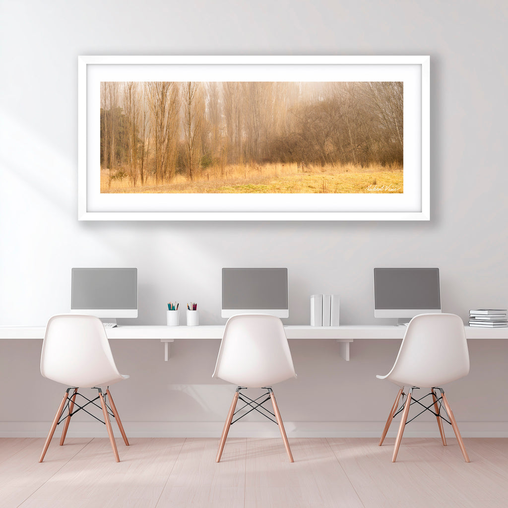 Whispers of Winter Light – Burra Limited Edition Framed Print