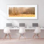 Whispers of Winter Light – Burra Limited Edition Framed Print