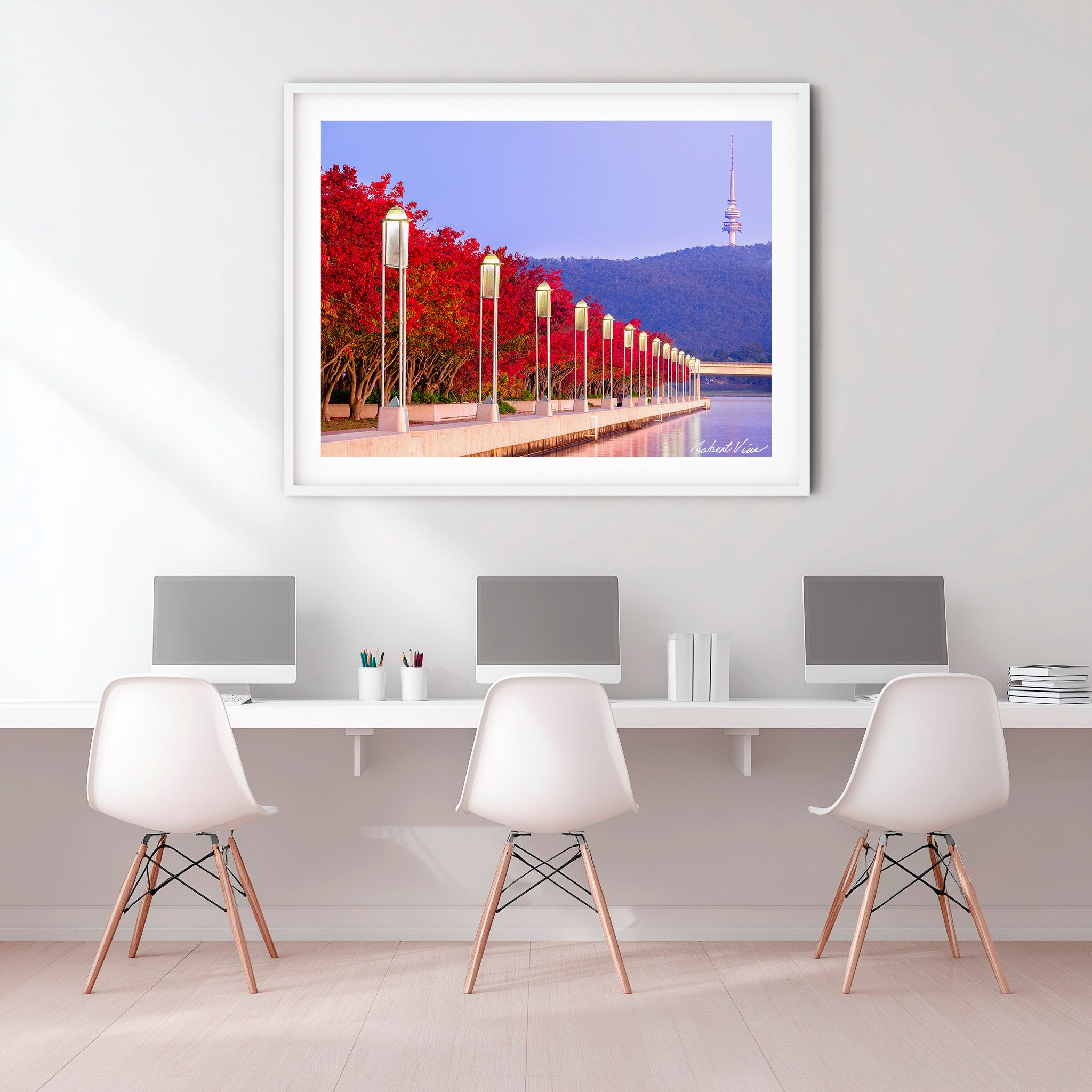 Autumn Colour at Lake Burley Griffin – Canberra Red Trees & Telstra Tower Fine Art Print by Robert Vine