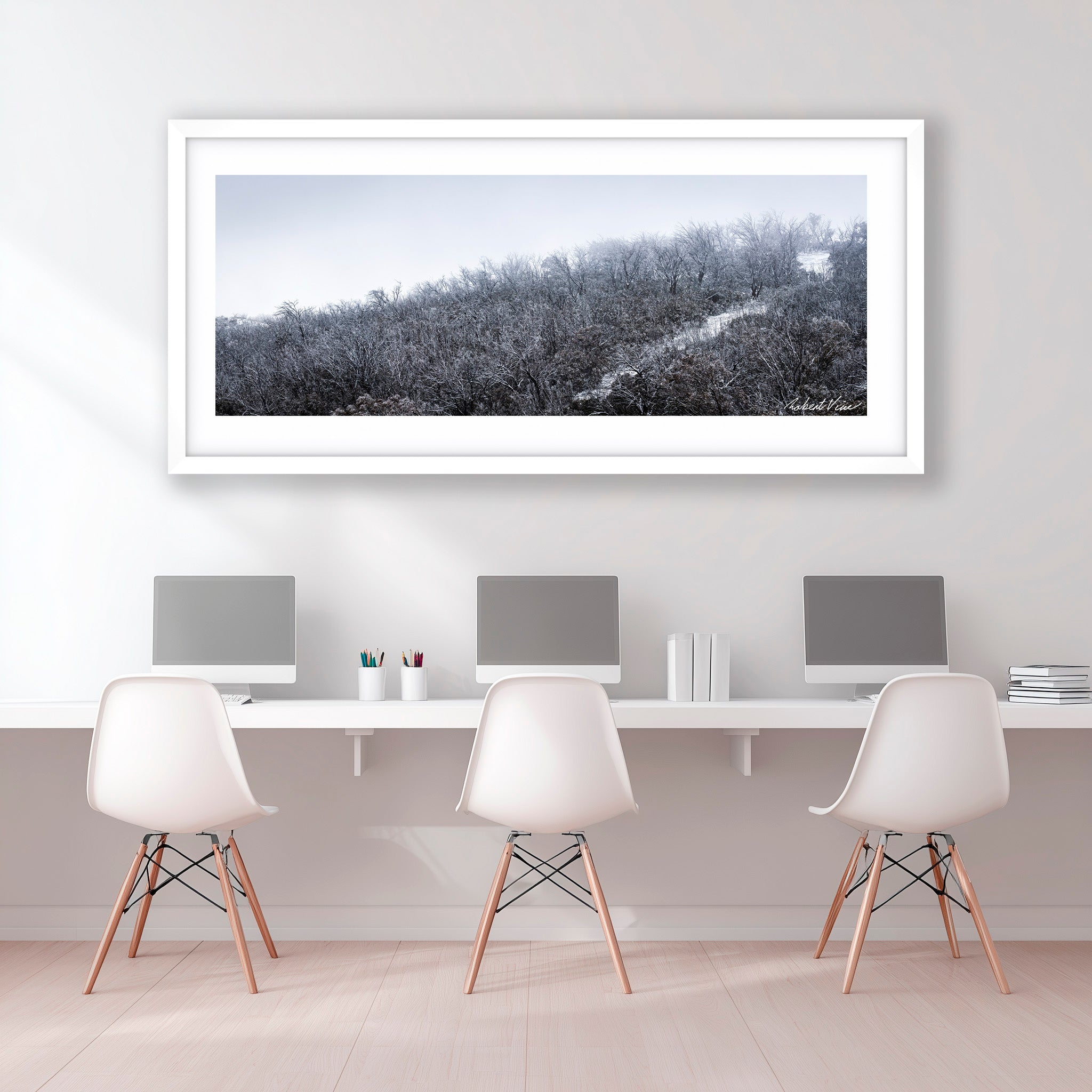 Snowfall in the Bare Eucalypts – Mount Selwyn Landscape Art Print by Robert Vine