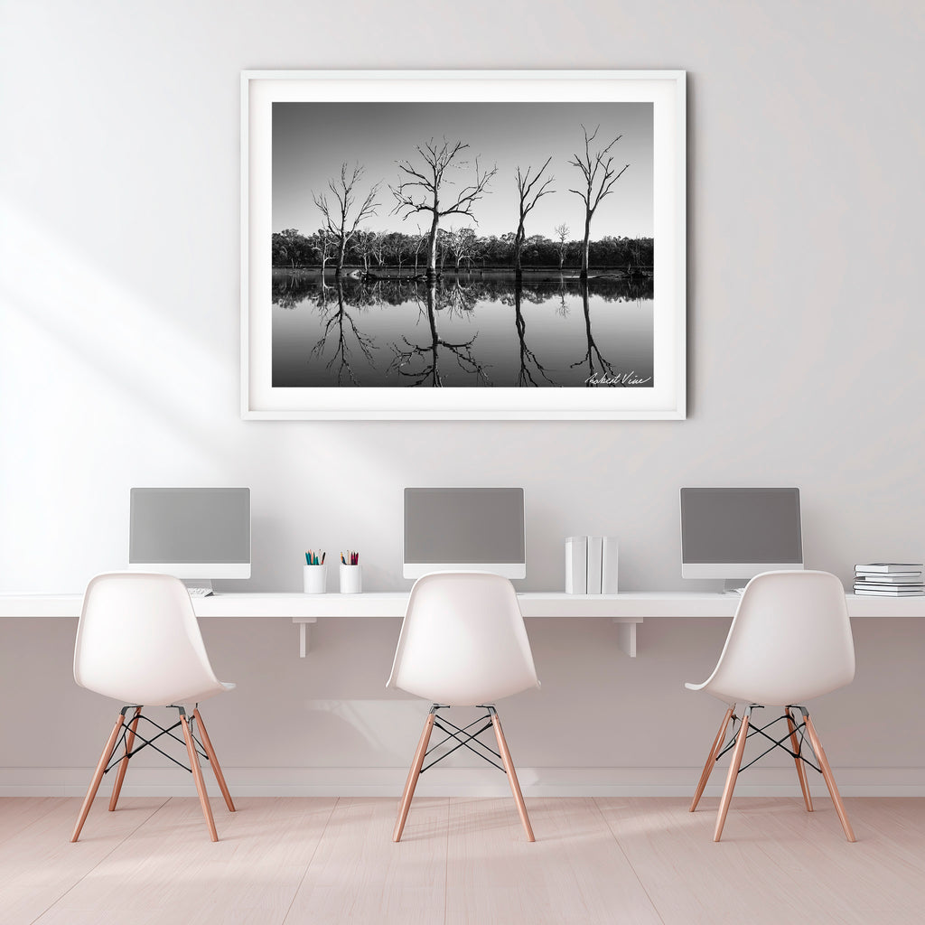 Silent Reflections – Mulligans Flat Wetlands Limited Edition Framed Art Print