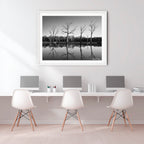 Silent Reflections – Mulligans Flat Wetlands Limited Edition Framed Art Print