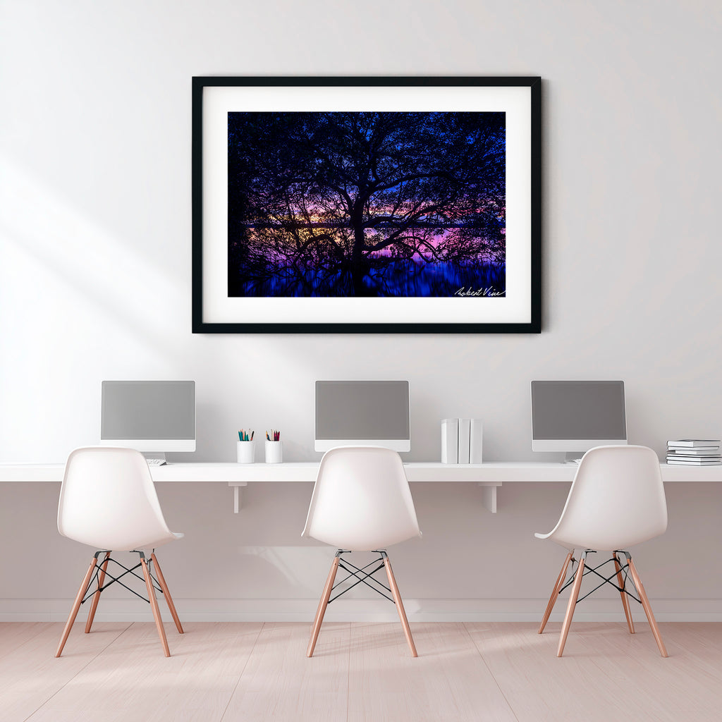 Twilight Mangrove, Lemon Tree Passage – Limited Edition Framed Print