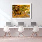Autumn Boulevard | Limited Edition Framed Print of Queanbeyan
