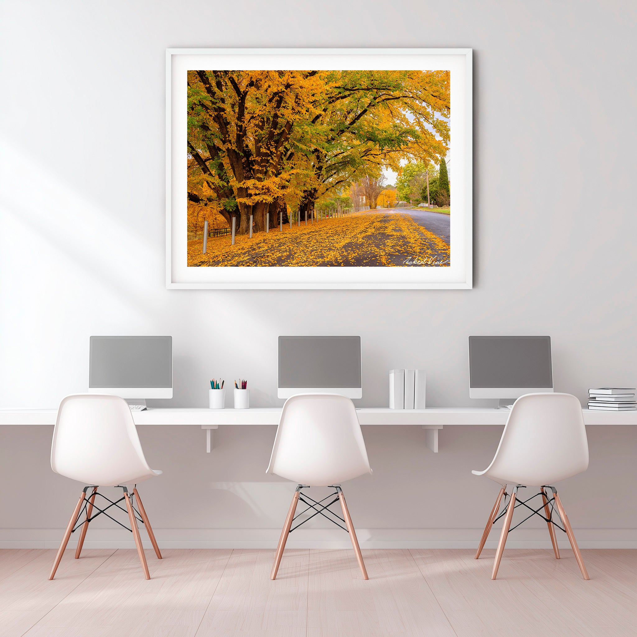 Autumn Boulevard | Limited Edition Framed Print of Queanbeyan