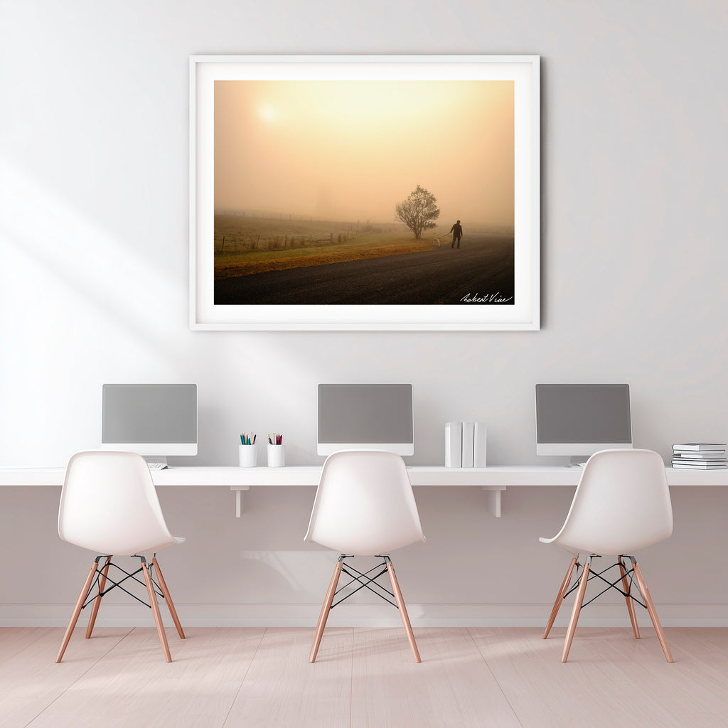 Morning Companion — Royalla Fog Walk | Limited Edition Framed Print