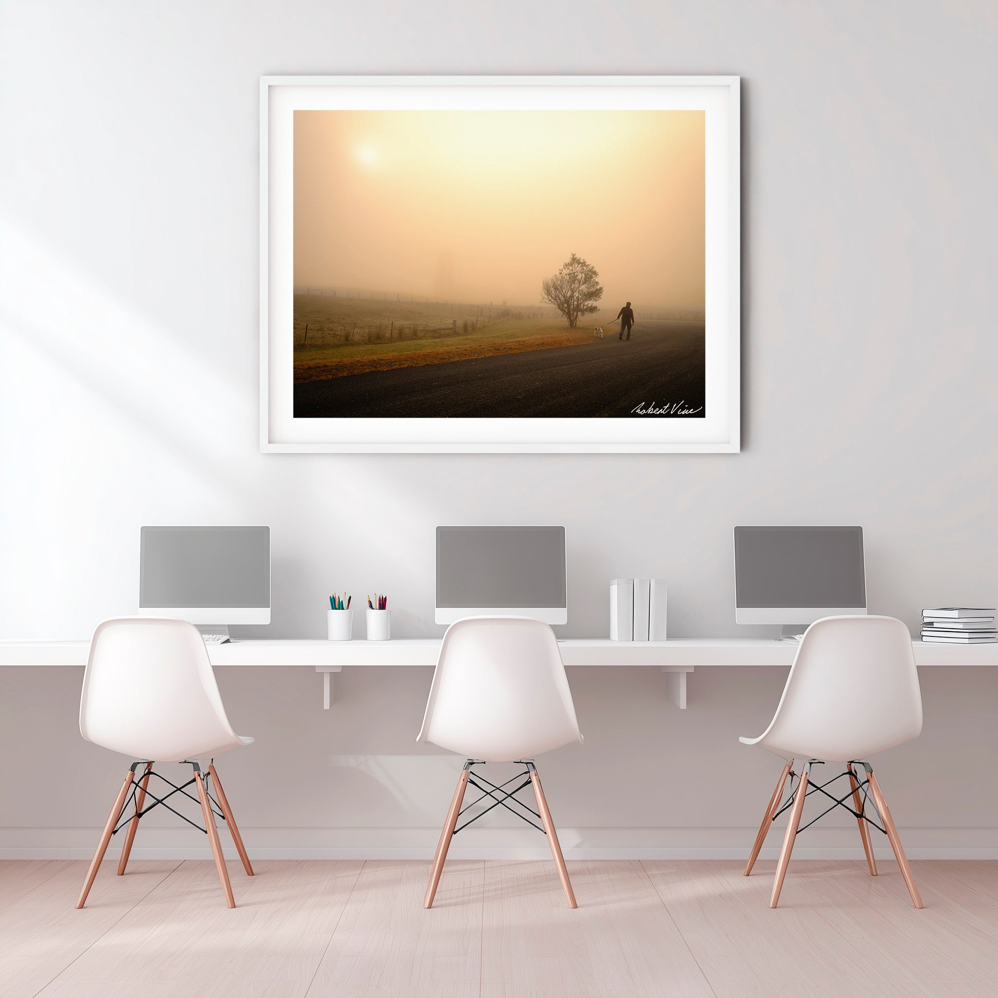 Morning Companion — Royalla Fog Walk | Limited Edition Framed Print