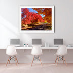 Crimson Avenue | Limited Edition Framed Autumn Print of Queanbeyan