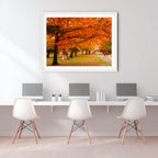 Crimson Canopy | Limited Edition Framed Print of Queanbeyan Park