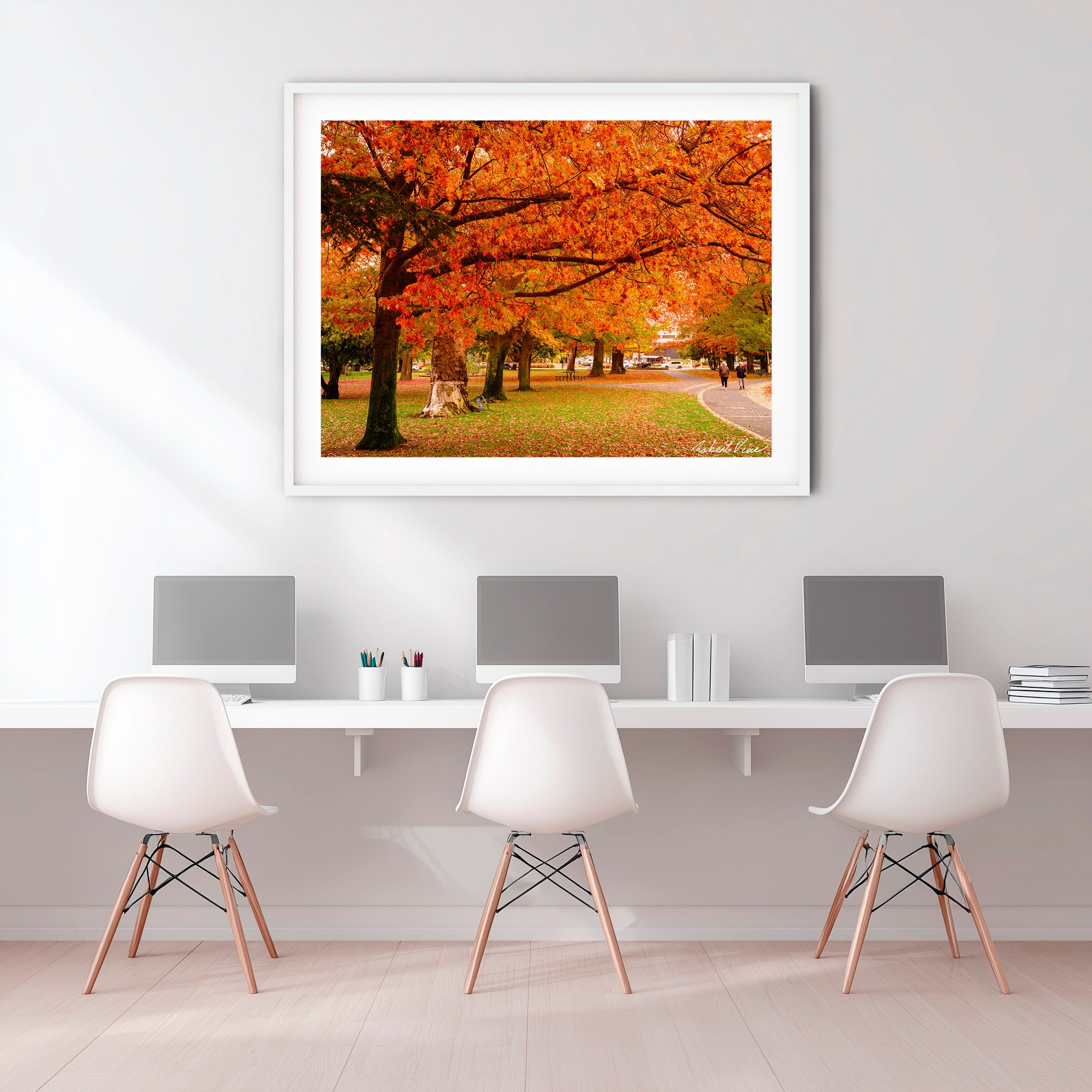 Crimson Canopy | Limited Edition Framed Print of Queanbeyan Park