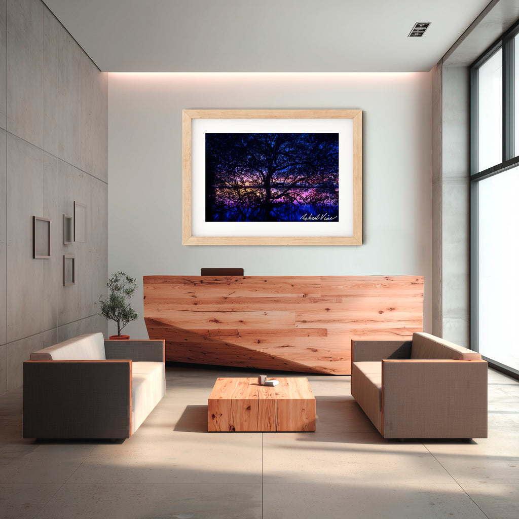 Twilight Mangrove, Lemon Tree Passage – Limited Edition Framed Print
