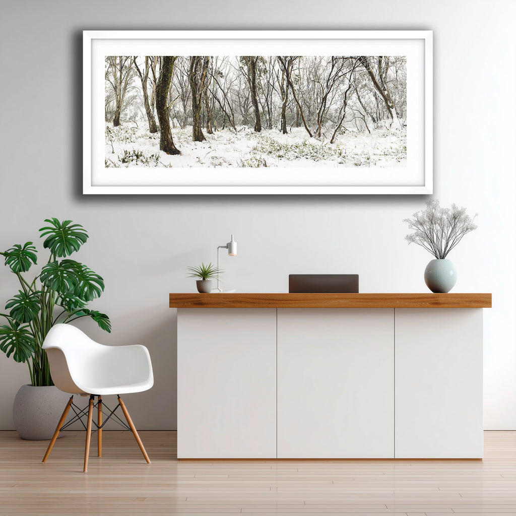 Snow Gums in Winter — Australian Alpine Landscape Photography by Robert Vine | Fine Art Print