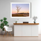 Winter Sentinel — Mulligans Flat Wetlands Limited Edition Framed Print