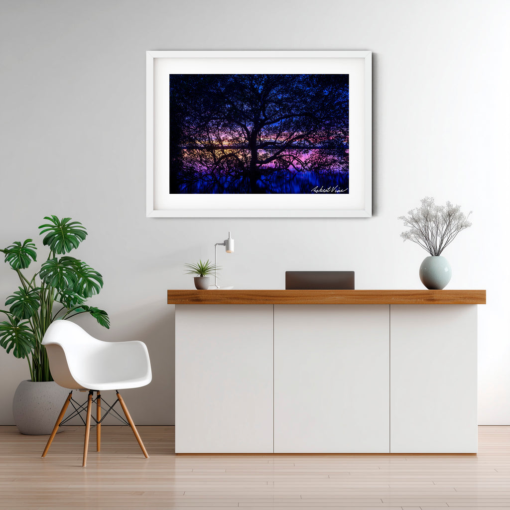 Twilight Mangrove, Lemon Tree Passage – Limited Edition Framed Print