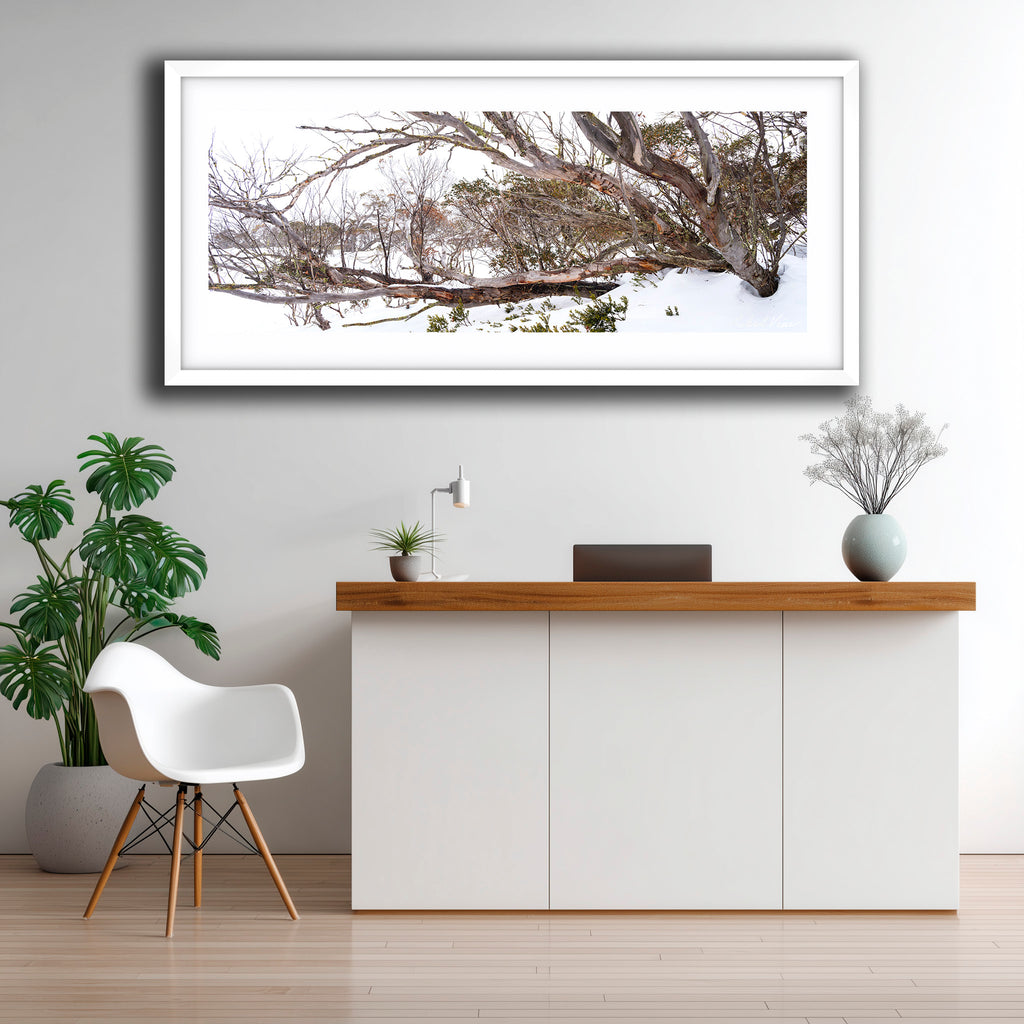 Snow Gum Tapestry – Perisher | Limited Edition Framed Landscape Print by Robert Vine