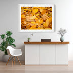 Autumn Tapestry | Limited Edition Framed Autumn Print of Queanbeyan