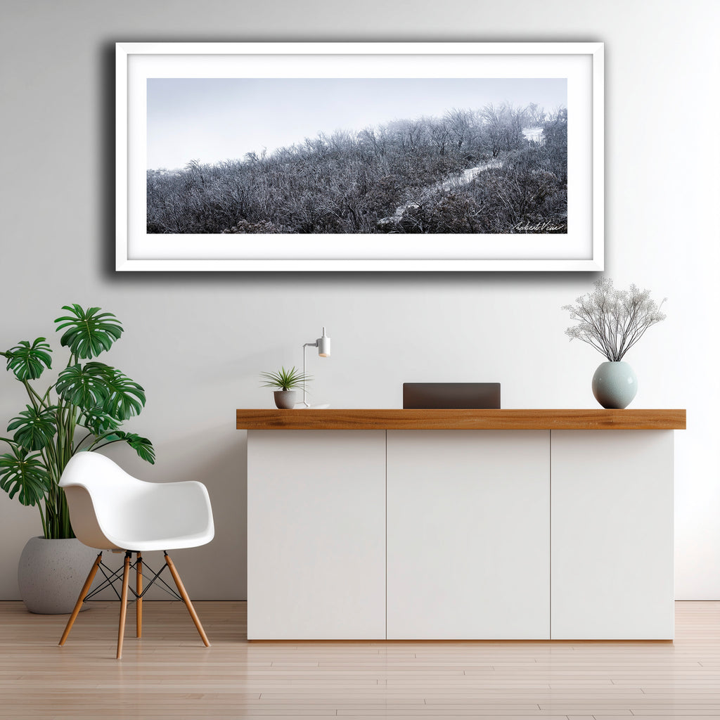 Snowfall in the Bare Eucalypts – Mount Selwyn Landscape Art Print by Robert Vine