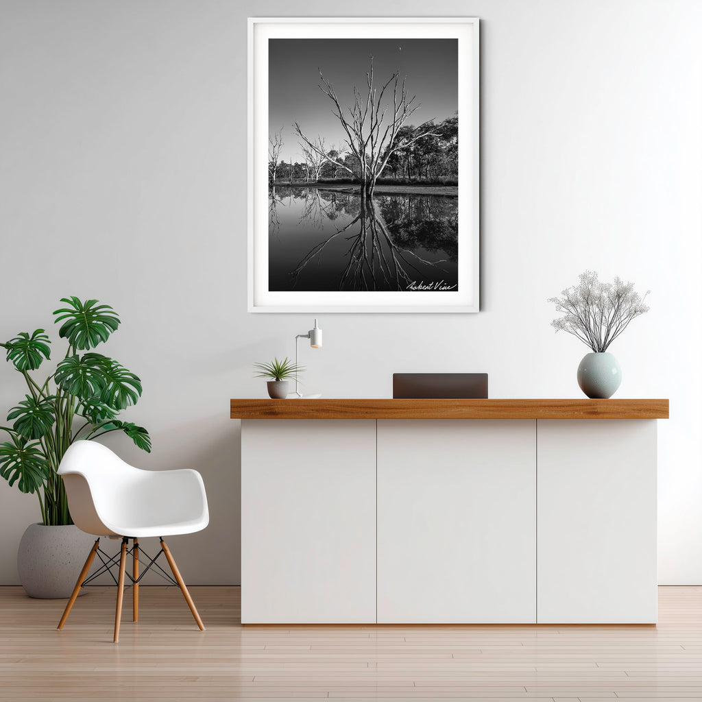Reflections of Silence – Mulligans Flat Wetlands Limited Edition Framed Print