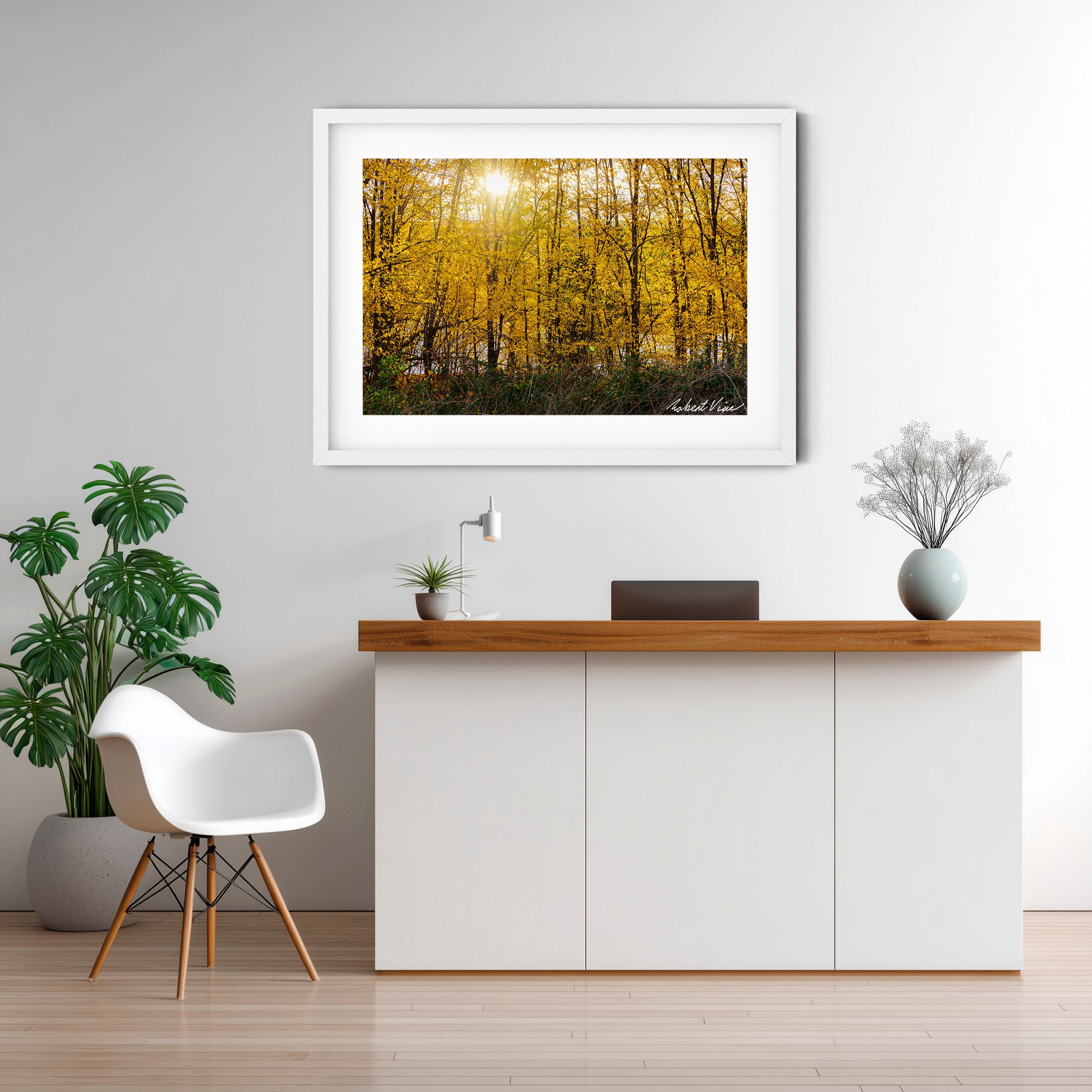 Golden Canopy | Limited Edition Framed Autumn Print of Queanbeyan