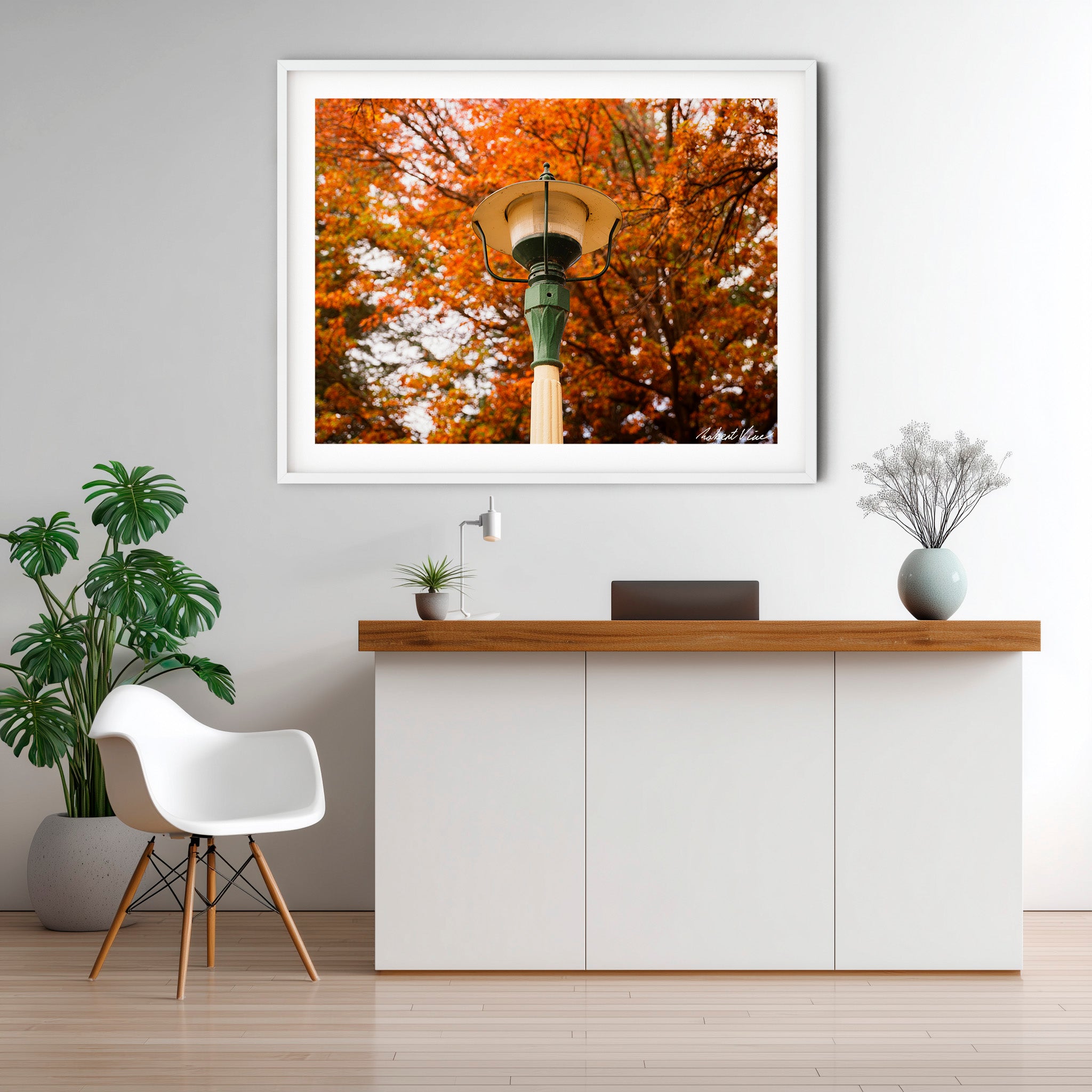 Autumn Lantern | Limited Edition Framed Print of Queanbeyan Park