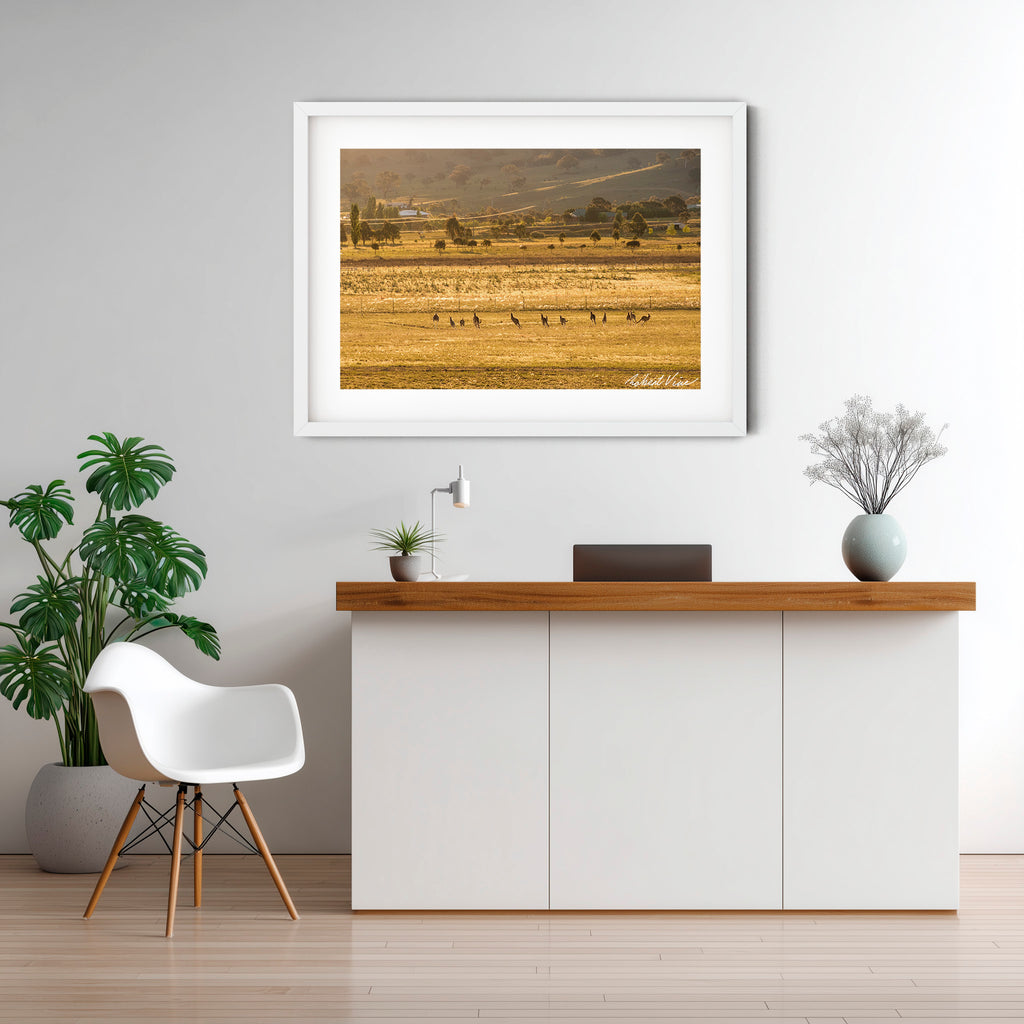 Golden Run — Googong at Sunset | Limited Edition Framed Art Print