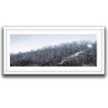 Snow-covered eucalypt forest on a misty winter hillside at Mount Selwyn — fine art landscape photograph by Robert Vine.