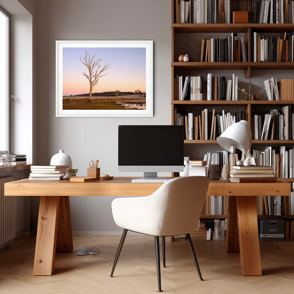 Winter Sentinel — Mulligans Flat Wetlands Limited Edition Framed Print