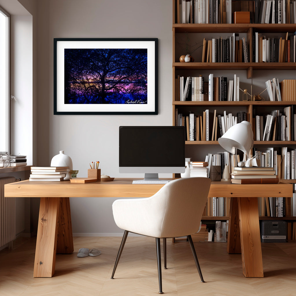 Twilight Mangrove, Lemon Tree Passage – Limited Edition Framed Print
