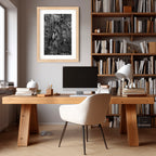 After the Fire, Tanilba Bay – Limited Edition Framed Print