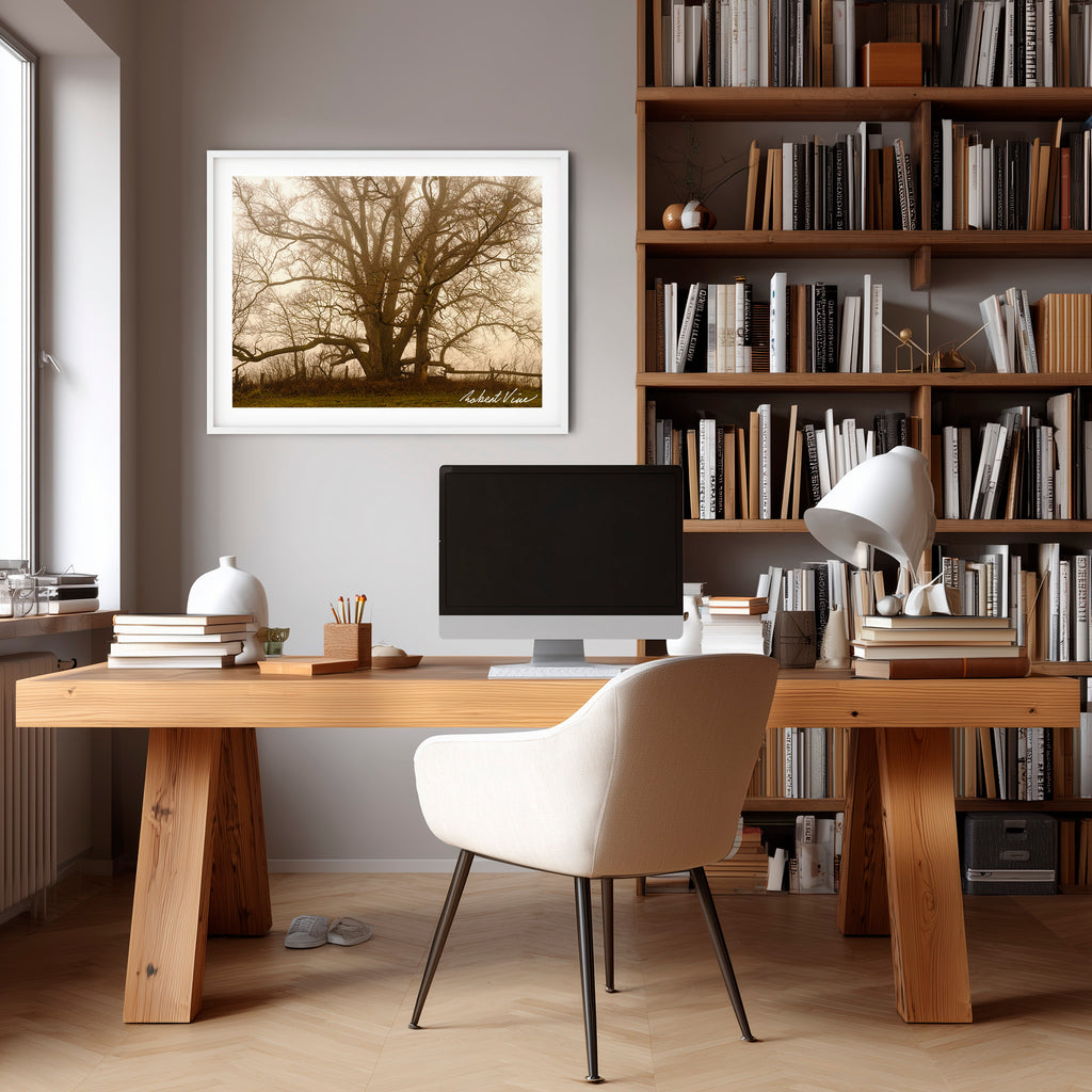 Ancient Sentinel in the Mist – Royalla Limited Edition Framed Print