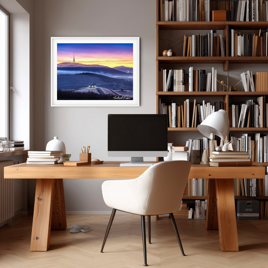 Winter Veil Over the Arboretum – Limited Edition Framed Print