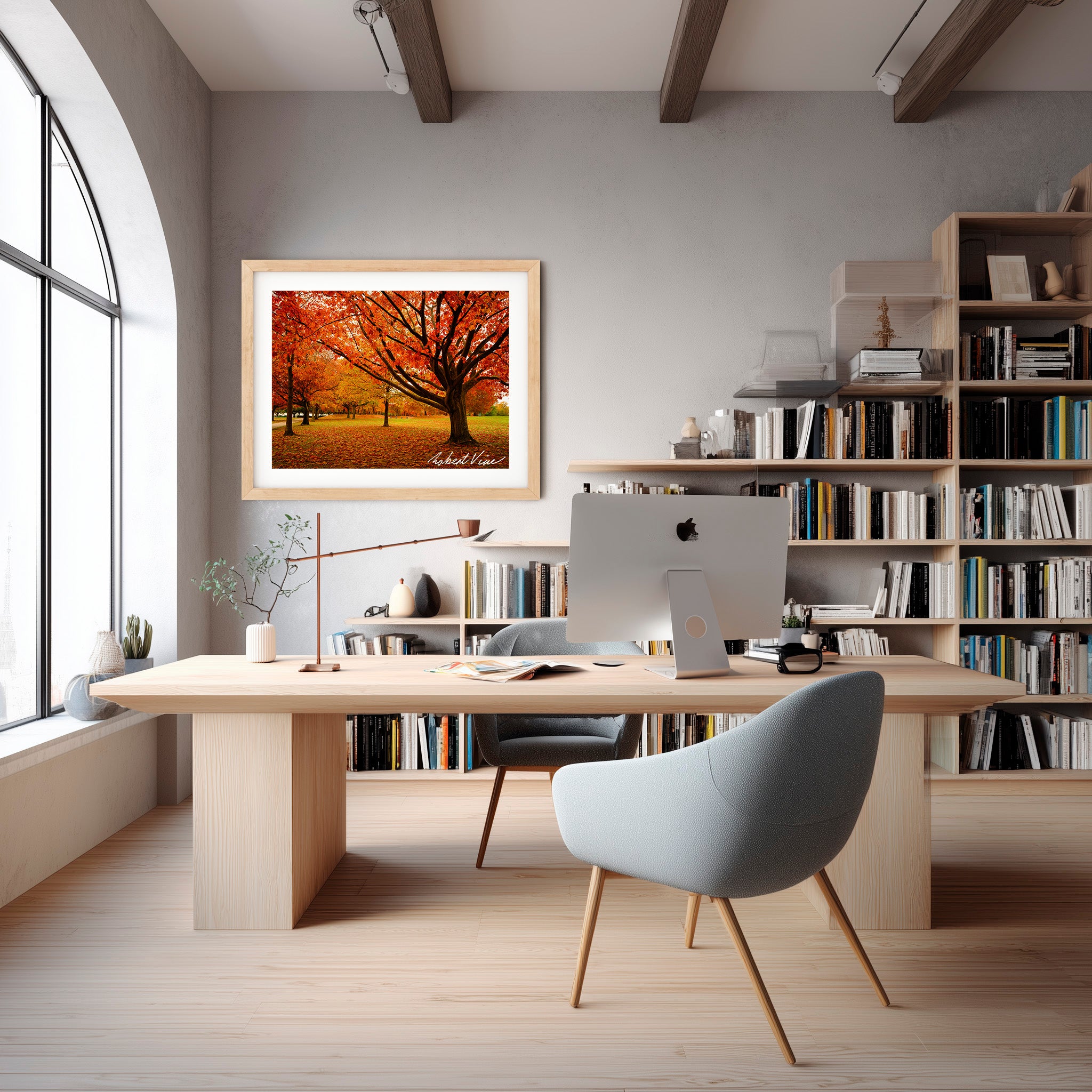 Autumn Glow in Canberra – Majestic Maple Trees Landscape Art By Robert Vine