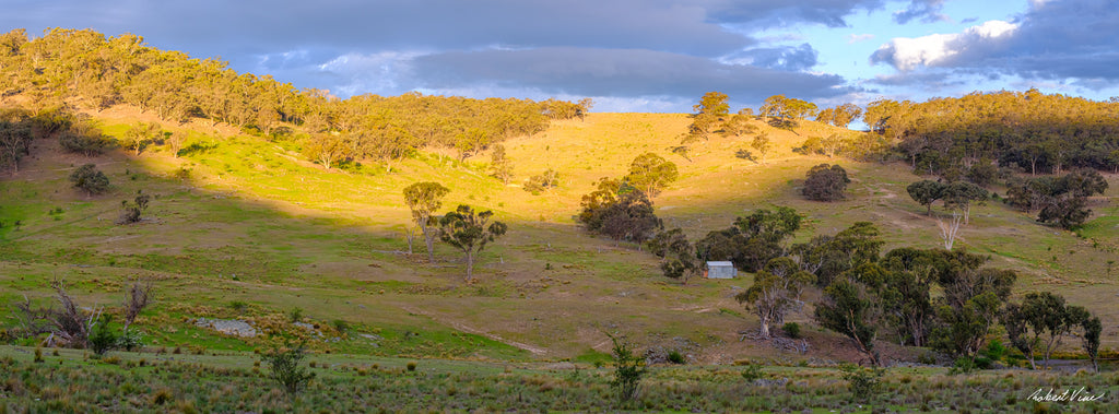 Golden sunset light illuminating rolling hills and valleys near Burra beneath dramatic storm clouds, limited edition landscape art print by Robert Vine.