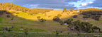 Golden sunset light illuminating rolling hills and valleys near Burra beneath dramatic storm clouds, limited edition landscape art print by Robert Vine.
