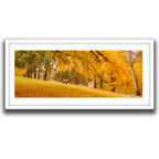 Children walking beneath golden autumn trees in Queanbeyan, limited edition framed landscape print by Robert Vine.