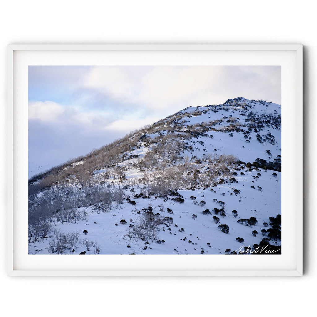 Framed wall art of Snow-covered mountain slopes with frost-covered snow gums beneath soft winter light at Guthega in the Snowy Mountains, photographed by Robert Vine.