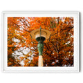Framed Heritage park lantern surrounded by vibrant autumn foliage in Queanbeyan Park, limited edition framed fine art print by Robert Vine.