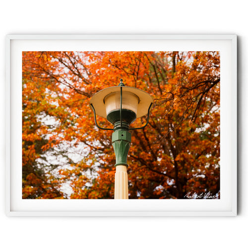 Framed Heritage park lantern surrounded by vibrant autumn foliage in Queanbeyan Park, limited edition framed fine art print by Robert Vine.