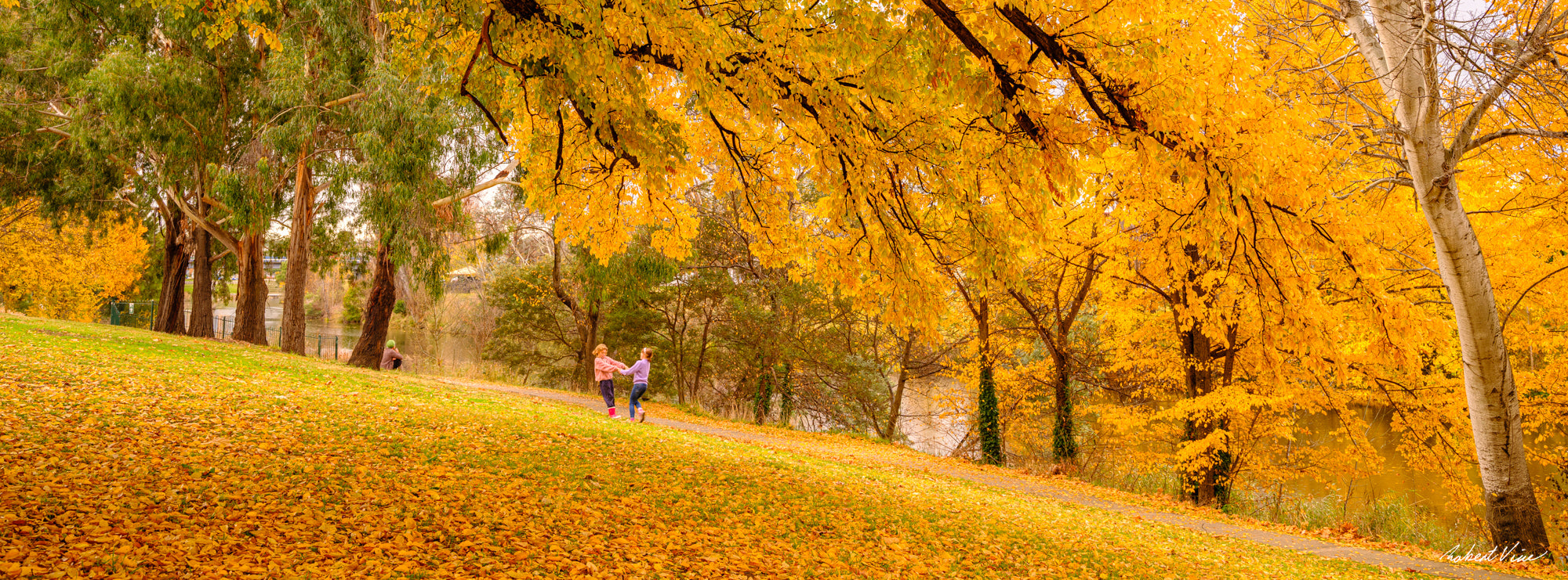 Children walking beneath golden autumn trees in Queanbeyan, limited edition framed landscape print by Robert Vine.