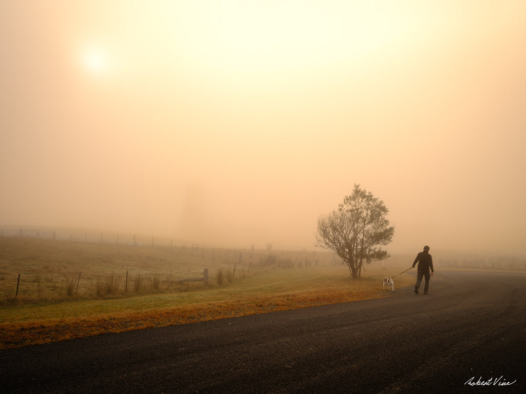 Man walking his dog along a country road through golden morning fog in Royalla, NSW, photographed by Robert Vine.